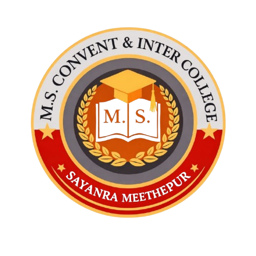 m. s. logo removebg preview
